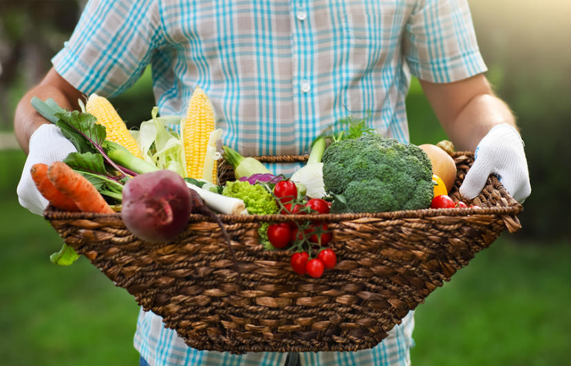 person carrying a basket of fresh vegetables