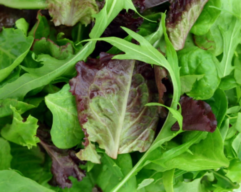 All About Dark Leafy Greens - Unlock Food