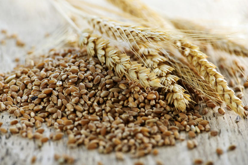 whole grains containing prebiotics