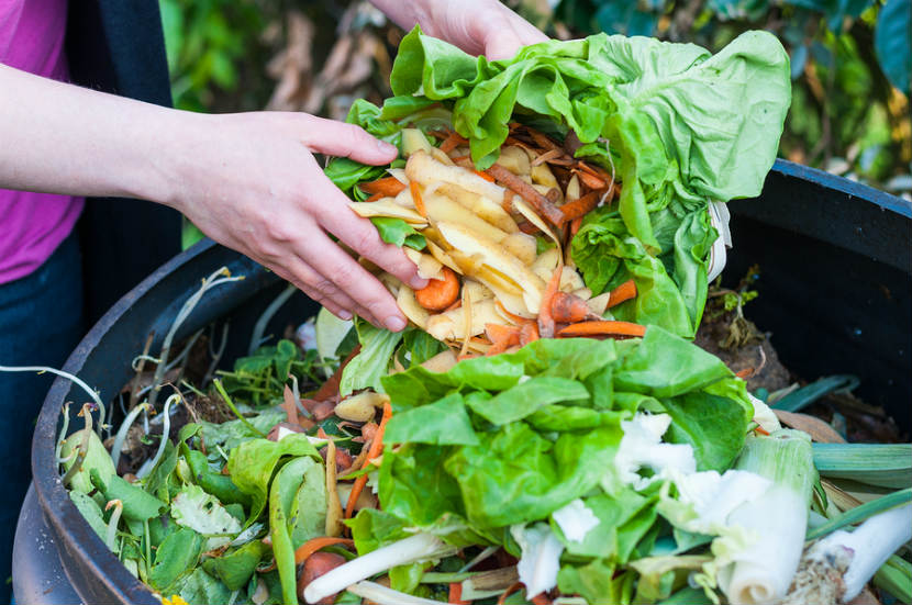 5 Tips to Reduce food waste during Thanksgiving