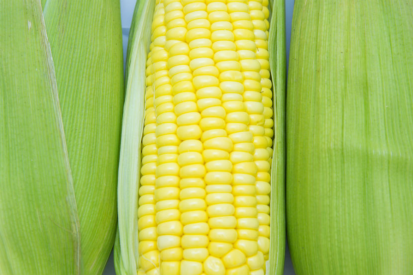 corn of cob